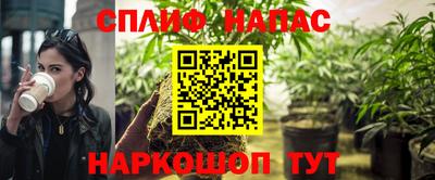 spice Новозыбков