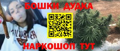spice Новозыбков