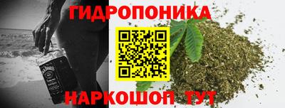 spice Новозыбков
