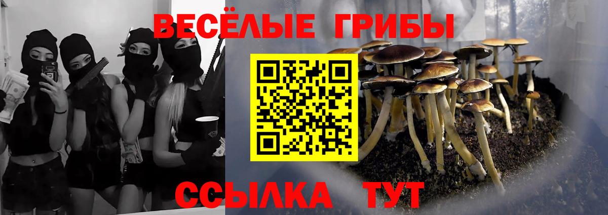 Псилоцибиновые грибы прущие грибы  Вход с VPN  Славянск-на-Кубани 