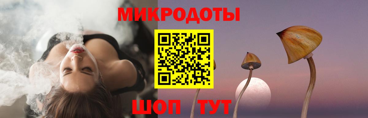 Псилоцибиновые грибы мухоморы Славянск-на-Кубани